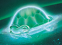 OKW Turtle Emblem